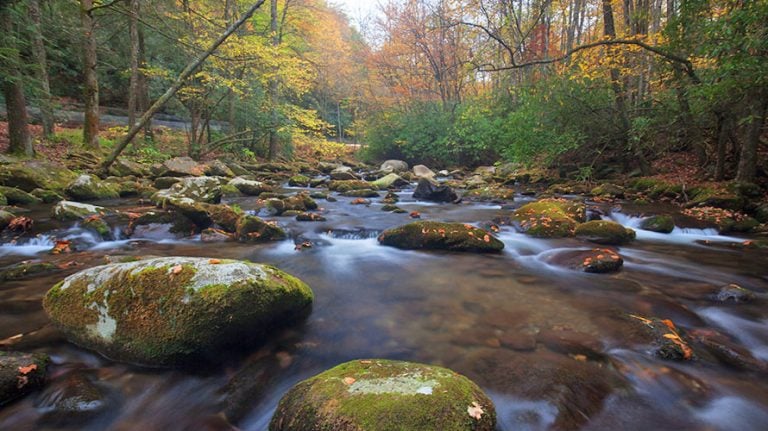 Ramsey Cascades Day Hike Tour | Wildland Trekking