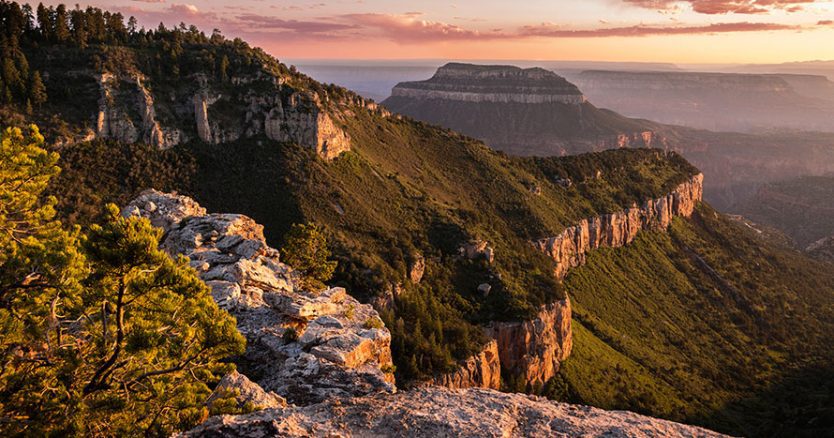Grand Canyon Views