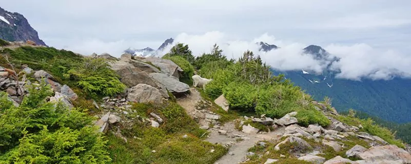 Enchanted valley with clouds