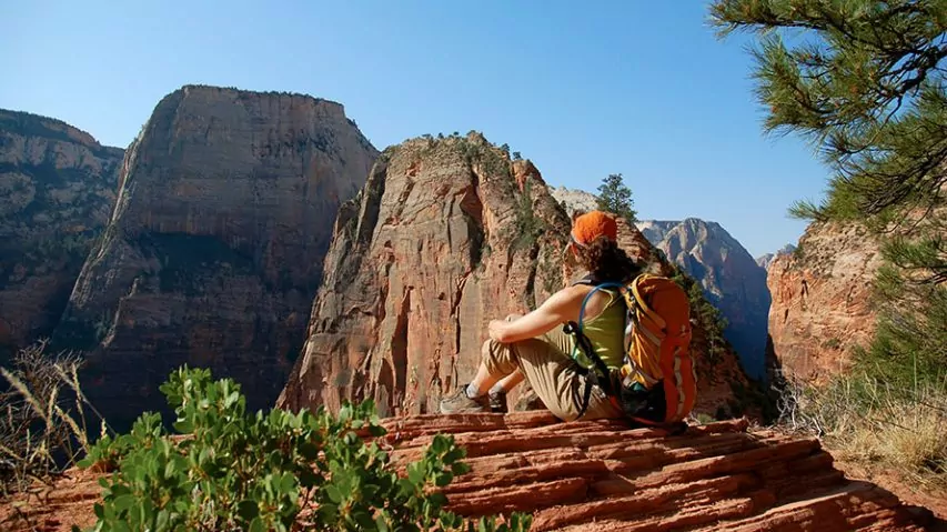 Zion National Park Basecamp Hiking Tour | Wildland Trekking