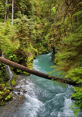 Olympic National Park Basecamp Hiking Tour | Wildland Trekking