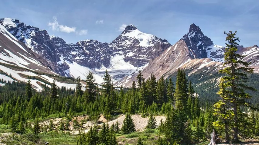 Banff Hiking Tour, Banff Walking Trip | Wildland Trekking