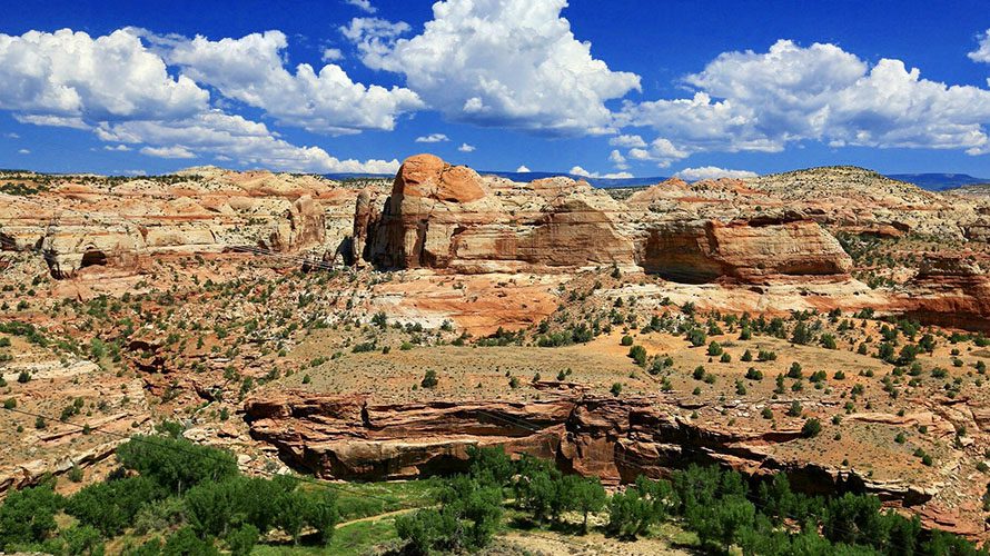 Canyons of the Escalante Trek | Wildland Llama Treks