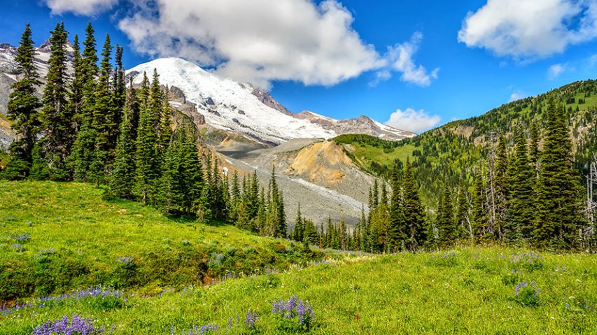 mount rainier hiking tour