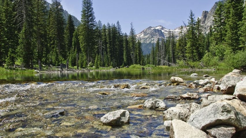 Cliff Creek Falls Wyoming Backpacking Trip | Wildland Trekking