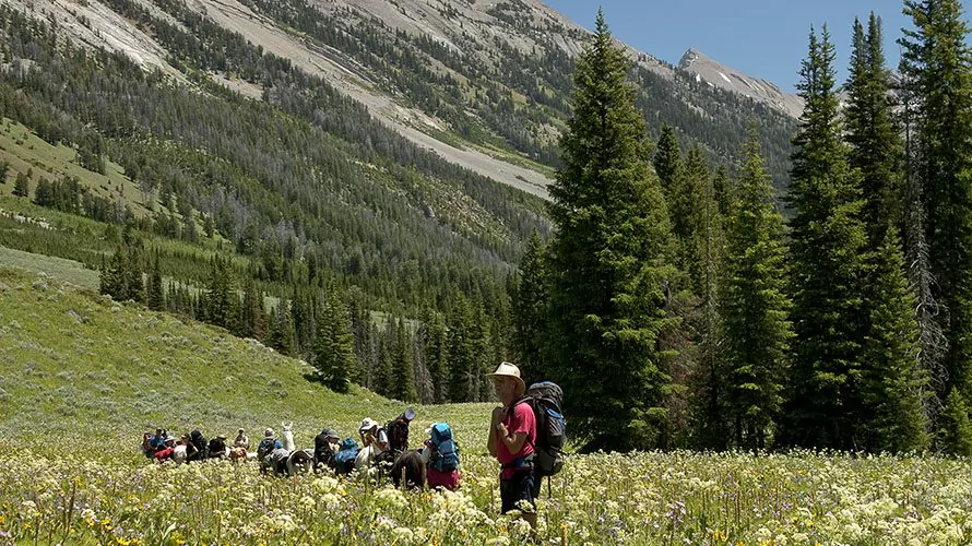 Cliff Creek Falls Wyoming Backpacking Trip | Wildland Trekking