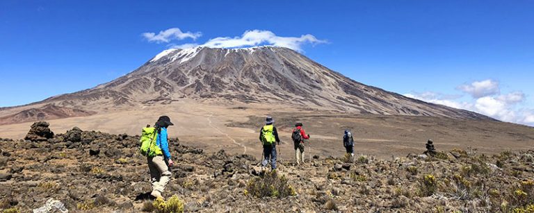 Guided Kilimanjaro Trek | Kilimanjaro Hiking Tour | Wildland Trekking