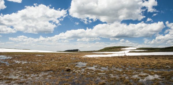 Landscape with blue cloudy sky