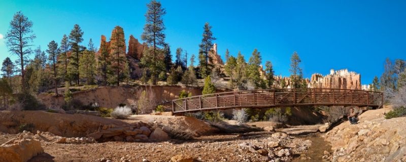 mossy cave bridge