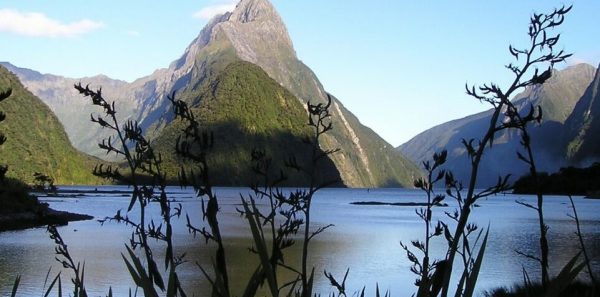 New Zealand Mountains
