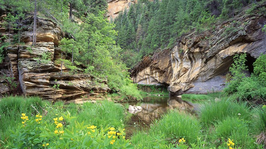 Sedona Red Rock Basecamp Hiking Tour | Wildland Trekking