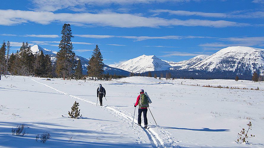 Yellowstone Cross Country Ski Tour | Wildland Trekking