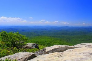 5 Terrific Hikes Around Asheville | Wildland Trekking Blog