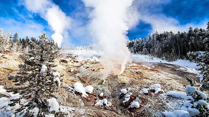 Yellowstone Snowshoe Tour, Yellowstone Snowshoeing Wildland Trekking