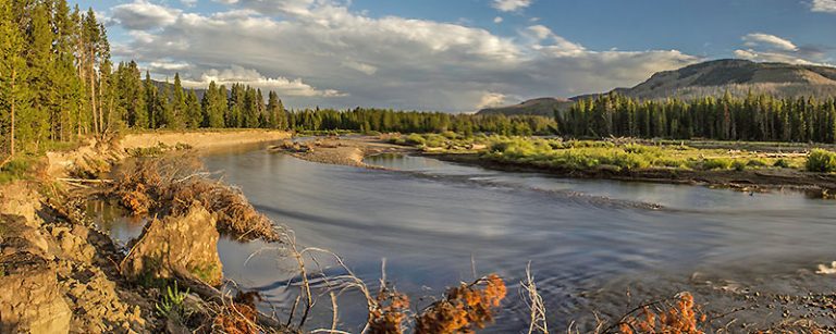 Thorofare Backpacking Trip in Yellowstone | Wildland Trekking