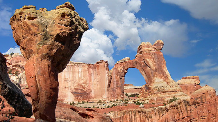 Arch in Canyonlands National Park