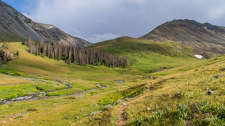 Greybull Pass