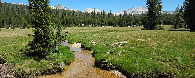 Small stream beside green mountain meadows