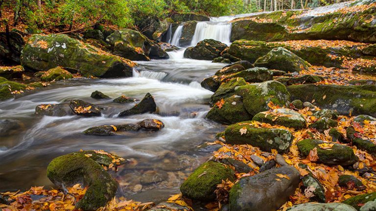 Best of the Smokies and Asheville 5 Day Trip | Wildland Trekking