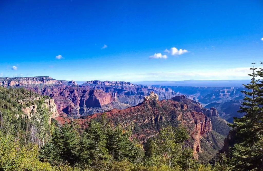 Widforss Trail view