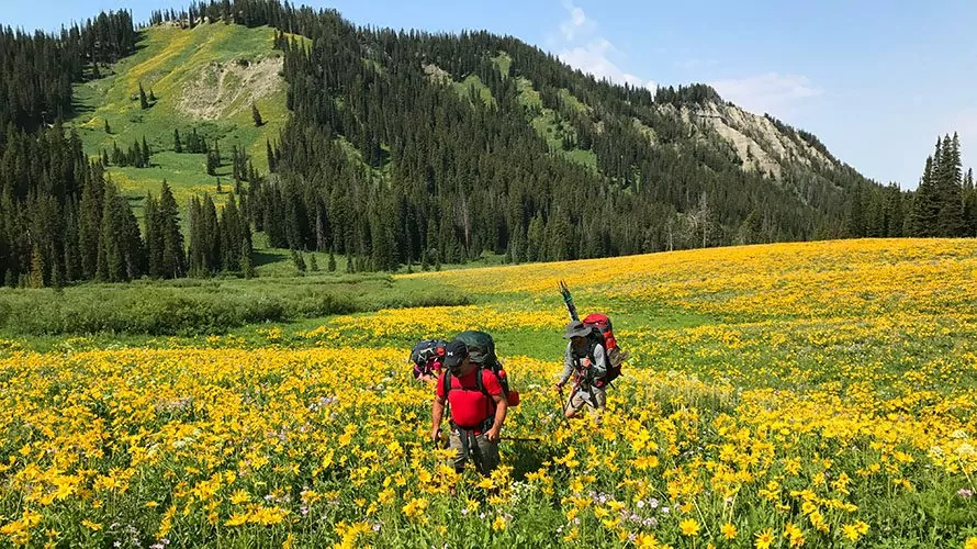 This limited edition line of camping gear comes in the perfect springtime  yellow - Vancouver Is Awesome