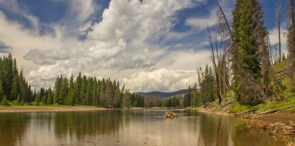 Yellowstone river and banks