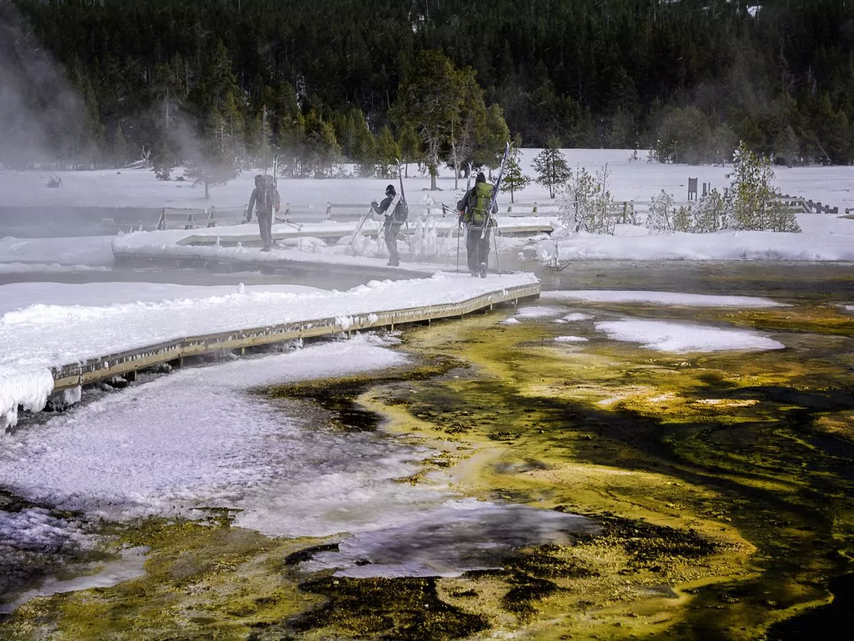 wildland trekking yellowstone