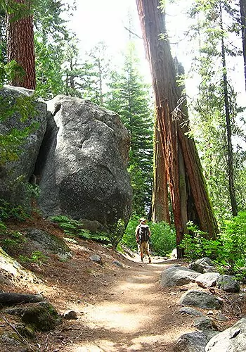 Yosemite Valley Camping Tour