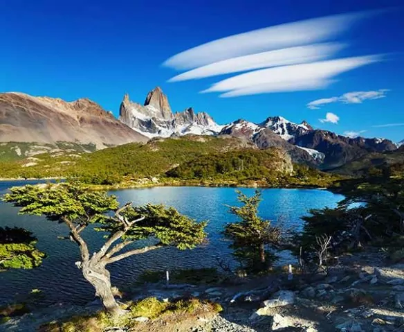 River and greenery in Patagonia