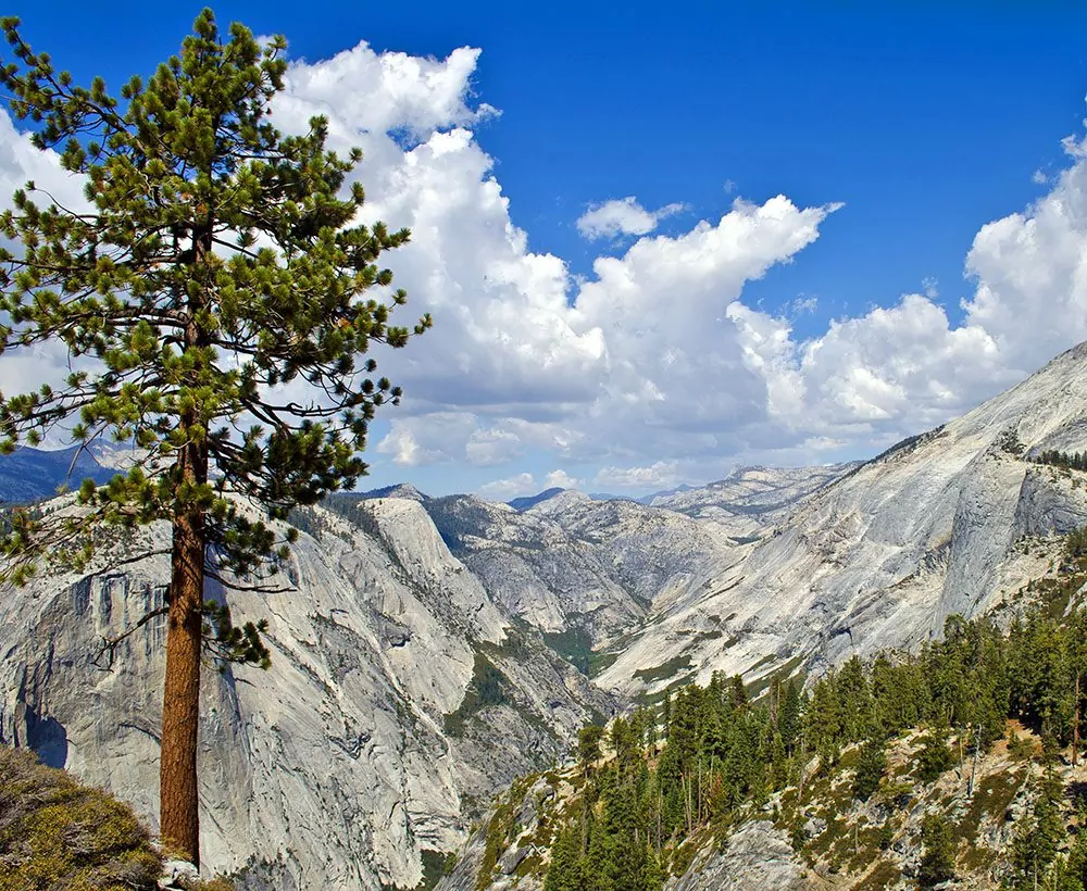 Guided Yosemite Backpacking Trips & Tours Wildland Trekking