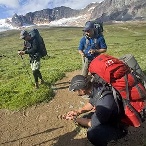 Hikers carrying large backpacks