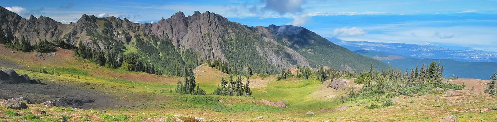 Olympic National park
