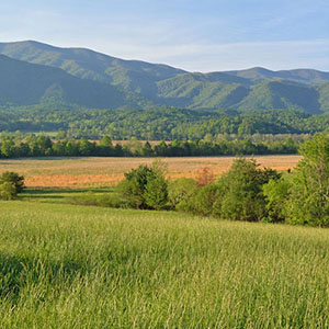 Lush green pastures lead to even greener forested hillsides in the Great Smoky Mountains