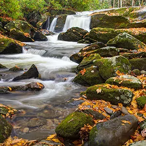 Fall leaves line a picturesque waterfall in the Great Smoky Mountains