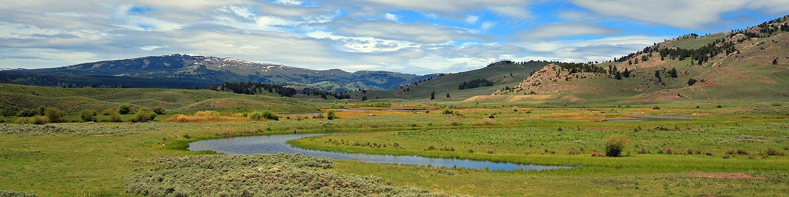 Unveiling the Wonders of Yellowstone in May: A Traveler's Guide