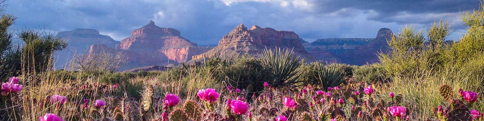 Hiking grand canyon in january sale