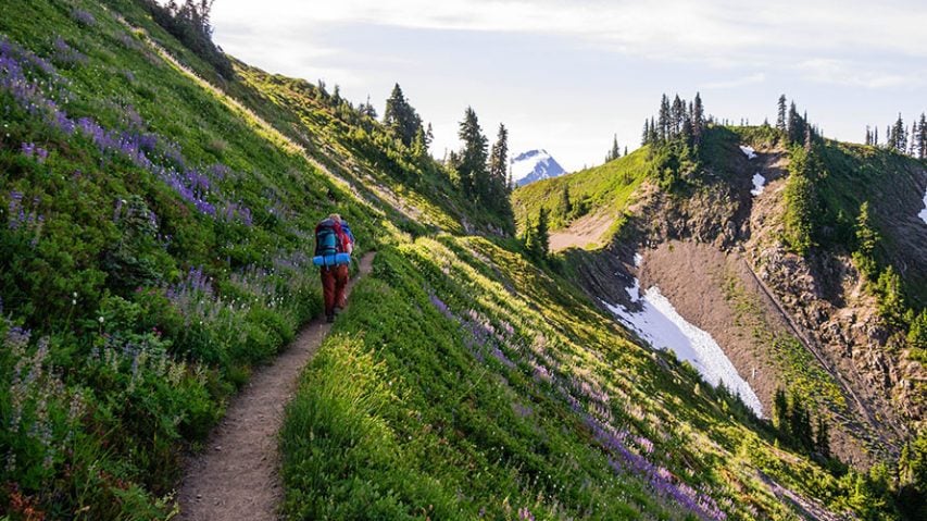 Olympic National Park Backpacking Treks & Tours - Olympbp 853x479