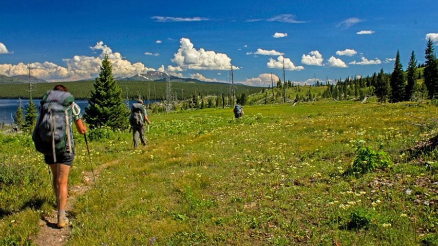 Yellowstone Hiking Treks And Tours Wildland Trekking