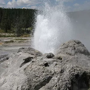 An erupting geyser in Yellowstone National Park