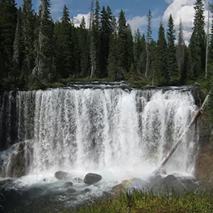 upper falls of yellowstone national park