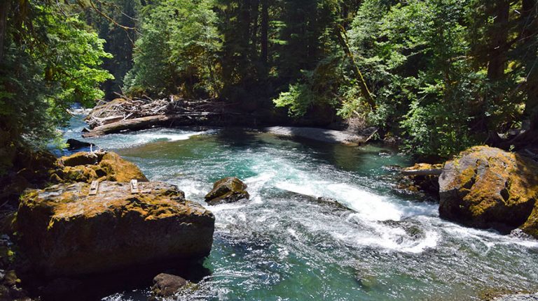 Olympic National Park 10 Best Hikes | Wildland Trekking