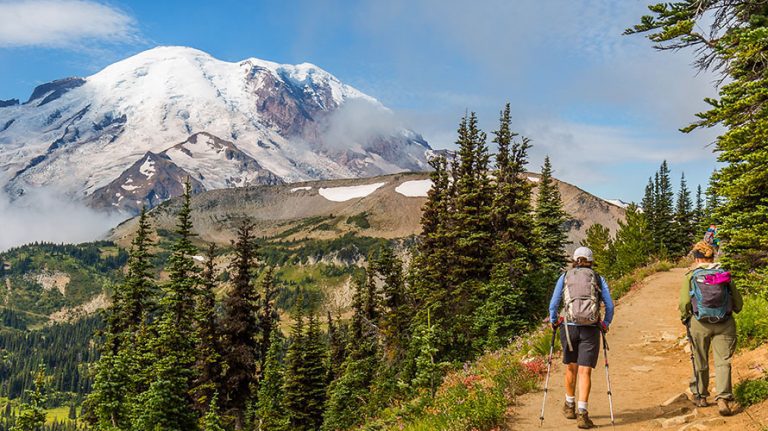 Camp Muir Day Hike Tour on Mount Rainier - Wildland Trekking