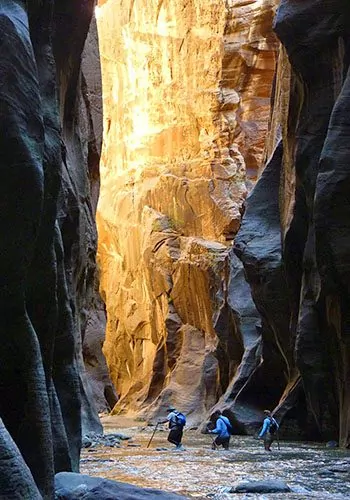 Zion narrows guided clearance hike