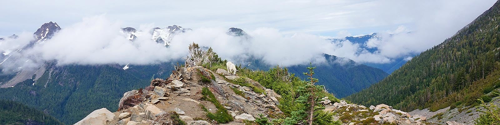 Olympic national shop park wilderness permits