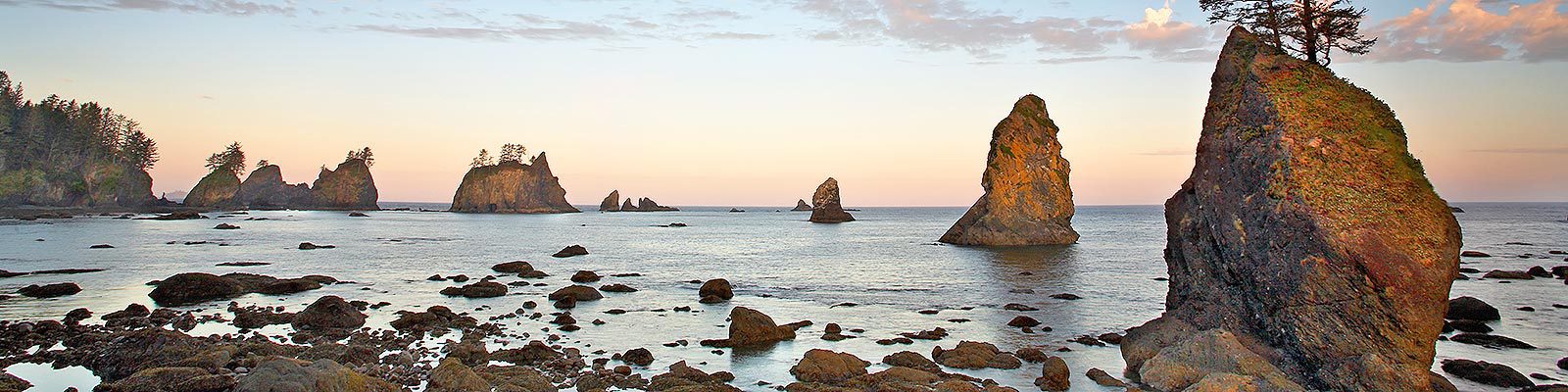 What to Do in Olympic National Park in One Day - Wildland Trekking
