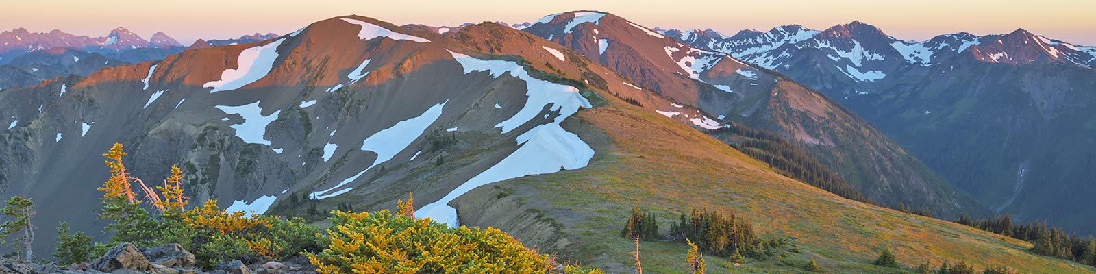 olympic hiking company