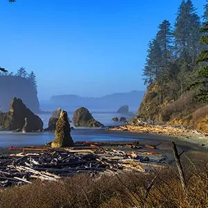 Lush coastal landscapes of Olympic National Park