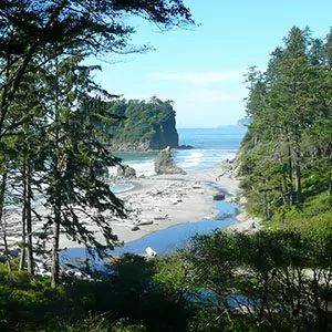 A vista view onto the coast covered in tide-pooling spots in the Olympic National Park