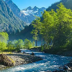 Beautiful snow-capped mountains sit nicely behind a bubbling stream in Olympic National Park