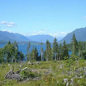 Mountains surround a lake with blue skies in Olympic National Park